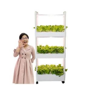 Hydroponics Growing System,3 Tiers 42 Pods Indoor Garden Kit with 6 PCS of Grow Lights for Vegetables,Herb,Fruit